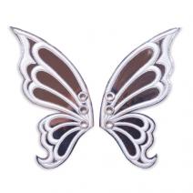 mirror butterfly